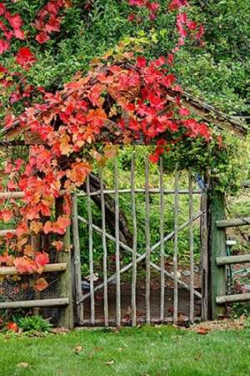 The Garden Gate Poster Print by George Johnson - Item # VARPDXPSJSN234